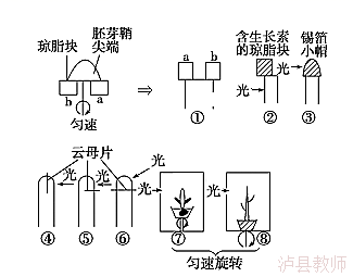 b80d5db40352449a8809c3e29b7c6c8f.Png