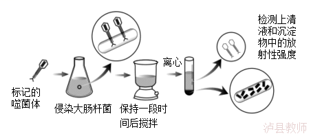 c2aecc41c04c4c55a733e02977251280.Png