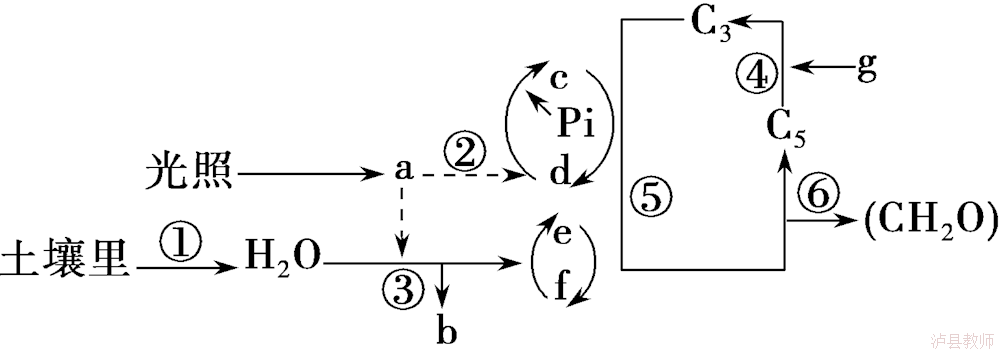 c32d2d63e24a47af8171126c3c2cf450.Png