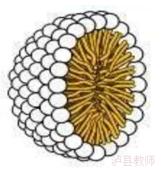 c6ff8af80713447a93f6ce46c45c8a00.Png