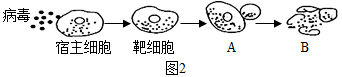 ca48d38ee627485e92f2d590d2eeb5a0.Png