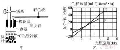 cd4a41d8a84247be9a5e9d3a76d898ab.Png