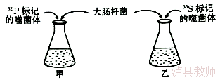 d272897edace47f591491123f8203ddc.Png