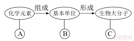 d4640836499a4f4aa9087e86ee2ac8e9.Png