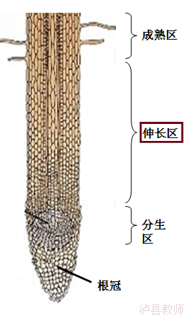 d676487fe4e244e7a6ca952b06de960a.Png
