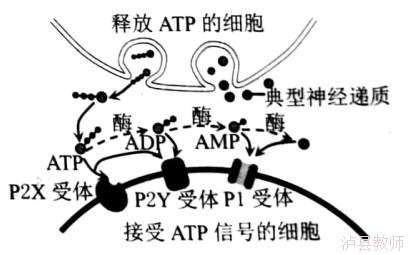 d92e38ca5ea9451baea67c42fb0e14c3.Png