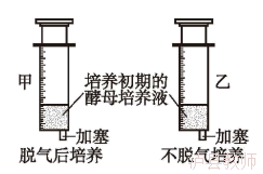 e0bcc977a38240248f881000b0b85e05.Png
