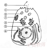 e13479b9263a4ab69b578b93a38b5437.Png