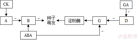 ede8163c98da4412a3457e159892357b.Png