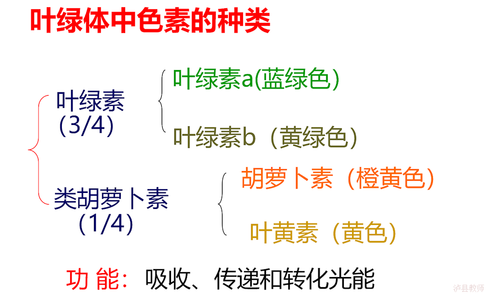 f5125659a2634fb2939e307fff399c90.Png