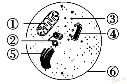 f60da4e9095846b7acb3ecd27650a5a6.Png