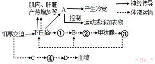 f8cf84e2cee148ae9d3b959d04a4fa19.Png