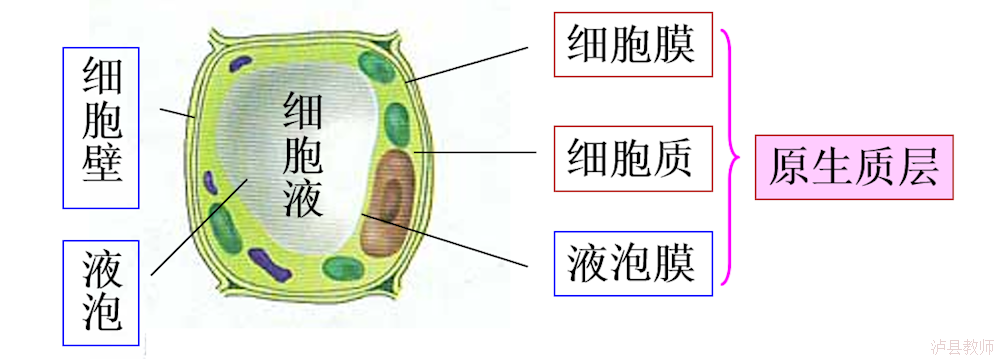f9611051dafd4226b9c187795b2a625d.Png