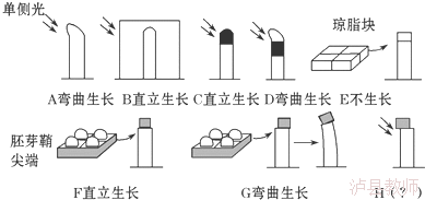 ffc60b18bc8744c9ae2f0fc36960811d.Png