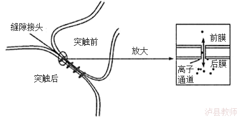 ffea3dc26fca48529c336881b11eb52c.Png