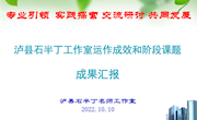 泸县石半丁名师工作室年度工作总结和汇报