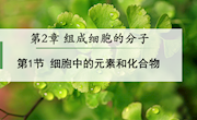 泸县四中-张群芳-细胞中的元素和化合物课件