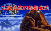 泸县一中-刘小琴-《生态系统的能量流动》课件