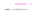 泸县一中-王启秀-ATP
