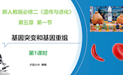 公开课.基因突变和基因重组（泸县九中柳媛）