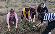 泸县嘉明小学少年军校开展劳动实践教育活动