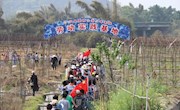 嘉明这些孩子表现真不错！