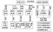 初步探究生物一轮复习中自主阅读教材--泸县一中　刘宇 论文