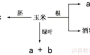 泸县四中李春梅高一第三章考试试题