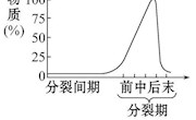 泸县一中胡基荣.细胞增殖（单元检测）.