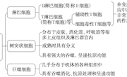 李春梅——免疫结构的组成和功能 教学设计