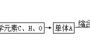 泸县一中刘宇 细胞中的糖类和脂质课后练习