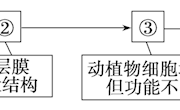 泸县五中冯霞 细胞器和生物膜系统 课后作业