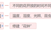 10+陈静+《花钟》
