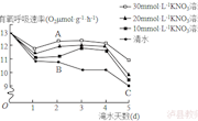 泸县二中方学军 有氧呼吸配套课后练习