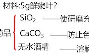 泸县四中+张群芳+光合作用与能量转化第一课时教案