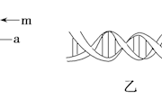 泸县一中-王启秀-2021年秋期泸县一中高2019级生物一诊模拟题