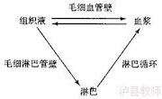 泸县四中+李春梅+细胞生活的环境