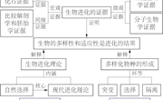 泸县二中张晋-“生物的进化”单元教学整体框架的建构论文