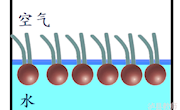 泸县五中+冯霞+ 《3.1 细胞膜的结构与功能》教学设计