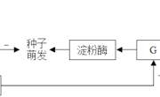 泸县一中颜敏其他植物激素 创新性作业与试题