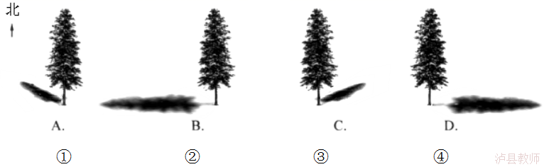 86414858b2764f39869e94d4f87ce77d.Png
