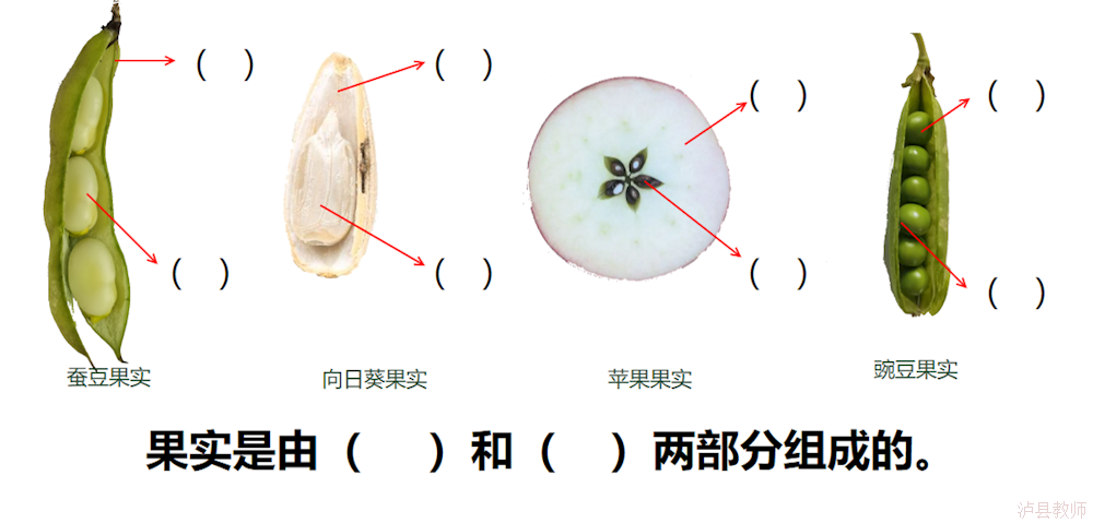 bef100a4fc4748a98e988de040ccc0d3.Png