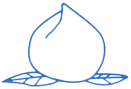 e65f5af46d0a4691a1b4eeea2854290b.Png