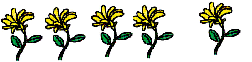 b418ed9a2e9e4ae0b0cc40f3aca0e55b.Png