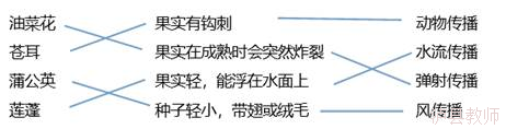 2e61718da2a04692b68aa5a2f5386456.Png