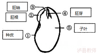 3aa44a106d4f4135bc873184a47edacc.Png