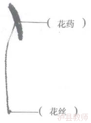 4ea7430f1a1242019b36020327c90670.Png
