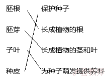 a1cb0d9175cf448da59f8546635b528b.Png