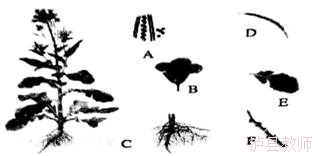 a2de80218a9b4947934f6931ee18f884.Png