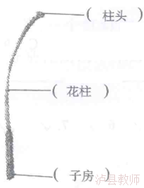 fbde5f73af194219bdfe49c6f9cf82f7.Png
